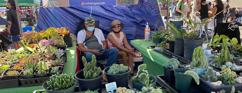 Maui Sunday Market